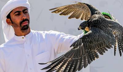 Dubai Privado Sob Medida de 7 Dias com Deserto e Abu Dhabi, Partidas Diárias — 5