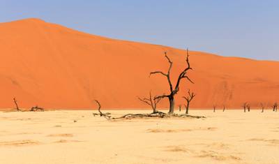 周遊 - Namibia (航空券込み) — 5
