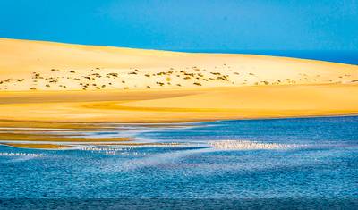 Tour Privado Personalizado de 4 Dias no Catar com Safari no Deserto, Partida Diária e Carro Privado — 4