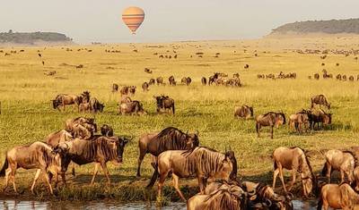Affordable Kenya Tanzania Safari — 2