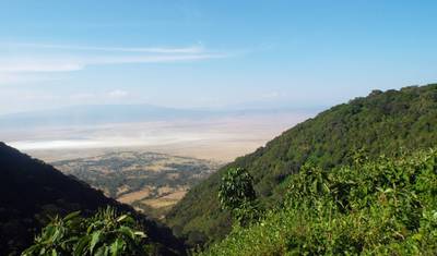 Affordable Kenya Tanzania Safari — 4