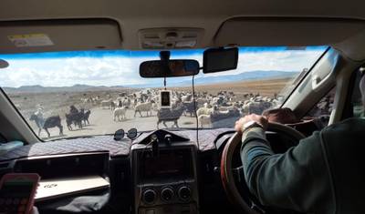 Kharkhorin and Ogii Lake tour — 5