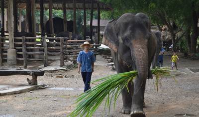 TAILÂNDIA – Bancoc Chiang Rai Phuket — 4