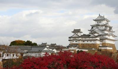 JAPÃO – Destaques com Flor de Cerejeira — 5