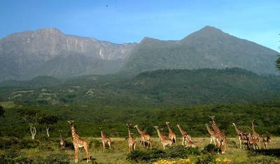 Trekking de 4 Dias no Monte Meru — 2