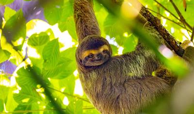 Tailor-Made Private 6 Days Adventure to Panama Canal & Rainforest, Daily Start — 2