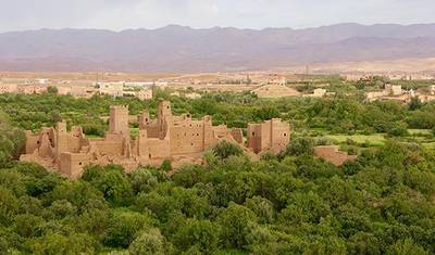 مغامرة جنوب المغرب: من مراكش إلى الصويرة - 15 يومًا — 5