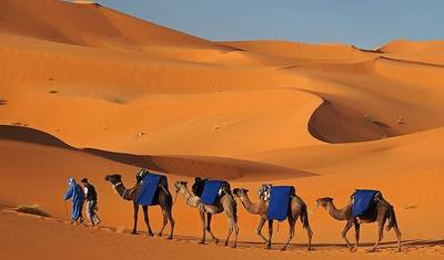 Grande Tour de Marrocos: Norte a Sul - 12 Dias — 5