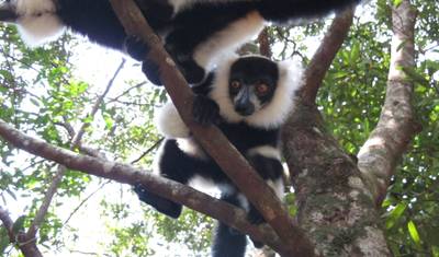 Excursão de 11 Dias ao Leste de Madagascar — 4