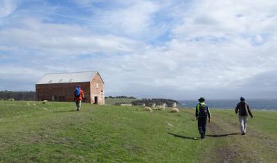 Walk Tasmania’s Capes, Freycinet & Maria Island — 4