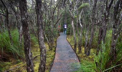 Walk Tasmania's Bay of Fires — 5