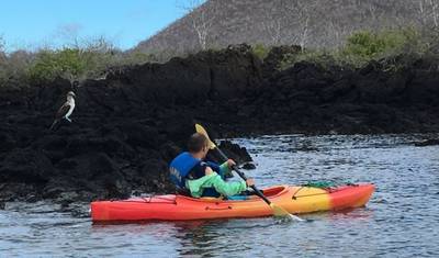 6 Day Galapagos Complete Island Hopping — 4