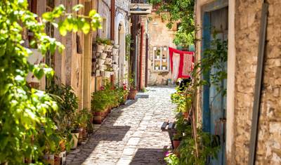 Taste of Cyprus — 3
