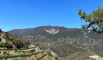 Taste of Cyprus — 5