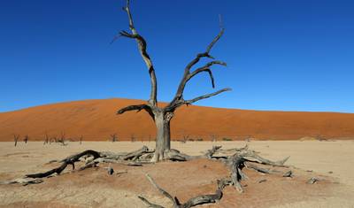 Do Cabo a Windhoek em um safári de acampamento — 2