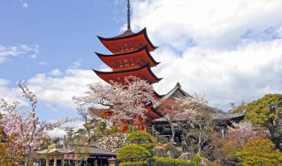 Macacos, Gueixas e Fuji-san — 2