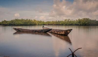 Mandinka, manguezais e o mar — 4