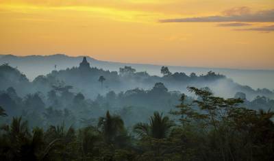 Orangutany, Smoki i Wulkany — 4