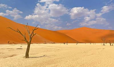 Między Sossusvlei a Etosha — 4