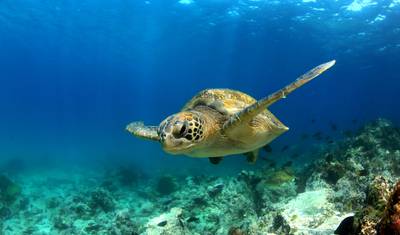 Destaques do Equador e Passeio entre Ilhas Galápagos — 3