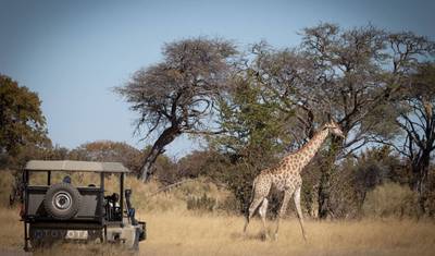 Experiência de Safari de Acampamento Móvel de 10 Dias no Botswana (incluindo Okavango, Moremi, Savuti, Nxai Pans) — 5