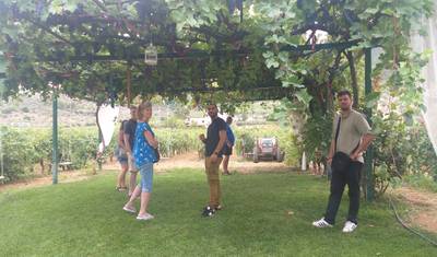 Peloponnese Wine Roads - 4 Days Private, guided, history, culinary — 4