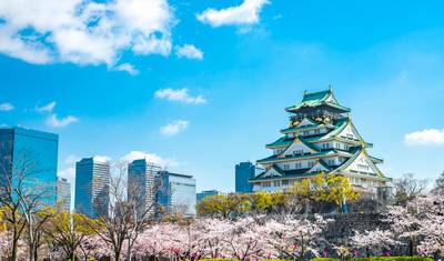 日本の真髄 8日間7泊 — 2