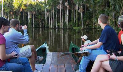 4 Dias na Reserva Natural da Floresta Amazônica de Tambopata, Puerto Maldonado — 2