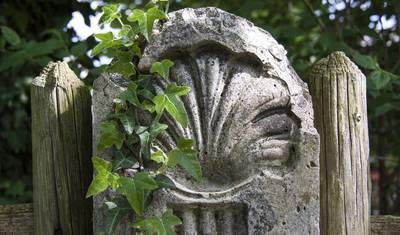 English Way of St. James from Coruña to Santiago (6 days) — 2