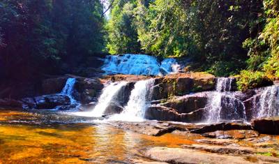 "True Adventure - Wild Trails Expedition"  (Wildlife / Hiking / Rainforest) 13 Days — 5