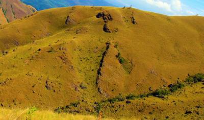"True Adventure - Wild Trails Expedition"  (Wildlife / Hiking / Rainforest) 13 Days — 2