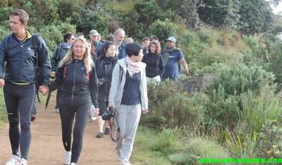 "True Adventure - Wild Trails Expedition"  (Wildlife / Hiking / Rainforest) 13 Days — 4