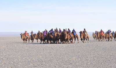 Festival de Camelos no Grande Gobi — 3