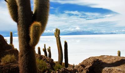 The Best Of Uyuni, The Salt Flats & All Lagoons: Private 3 Days Tour — 5