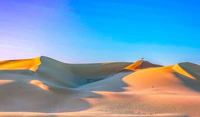Private 11 Days Algeria Family Tour with 4-star Hotel, Daily Depart — 2