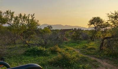 Viagem à África do Sul — 5