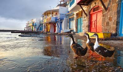 Atenas - Milos - Santorini (Trilhas de Vênus) — 2
