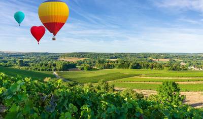 Walking The Vineyards of Champagne - Deluxe — 4