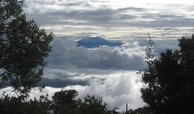 Wspinaczka na Kilimandżaro - Szlak Machame - 7 Dni — 2