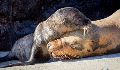 4 Day The Magic of Santa Cruz — 3