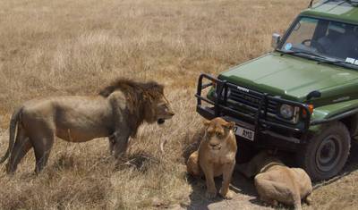 Najlepsza i wyjątkowa 11-dniowa wycieczka: Safari w Tanzanii i wędrówka na Kilimandżaro – plan podróży w przystępnej cenie. — 4
