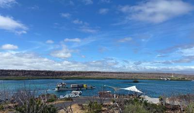 5 Dias Galápagos Santa Cruz | Passeios Diários de Vida Selvagem — 2