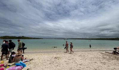 5 Dias Galápagos Santa Cruz | Passeios Diários de Vida Selvagem — 3