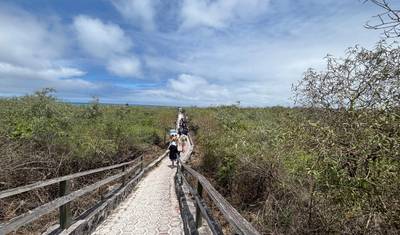 5 Dias Galápagos Santa Cruz | Passeios Diários de Vida Selvagem — 5