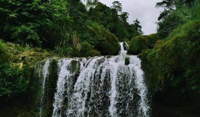 Madagascar Wildlife Tour  14D/13N ( Comfort) — 5