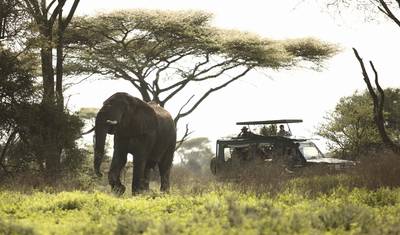 8-Days Botswana Northern Highlights & Victoria Falls — 3