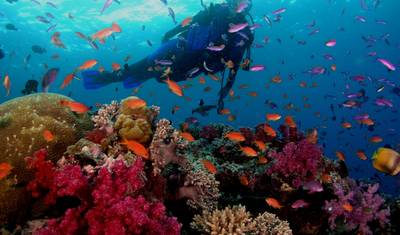 Experiência de Cultura e Praias da Costa Leste no Verão 2024 — 5