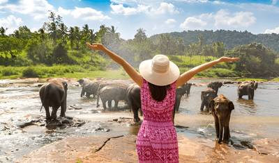 اكتشف تاج محل في جولة Elephant SOS Wildlife Rescue من دلهي — 2