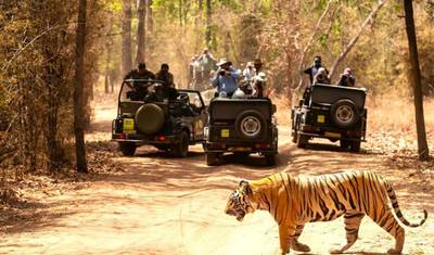 Excursão de 5 Dias ao Triângulo Dourado com safári na selva de Ranthambore!! — 3