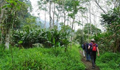 Ninh Binh: 2 Dias e 1 Noite com Passeio de Barco e Trekking no Parque Nacional Cuc Phuong — 5